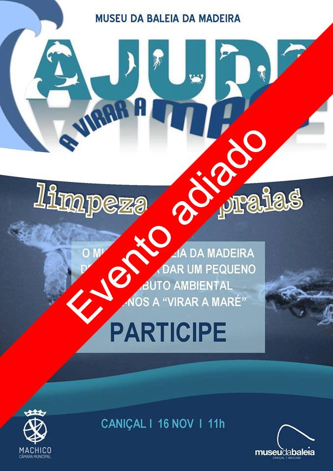 adiado AVM